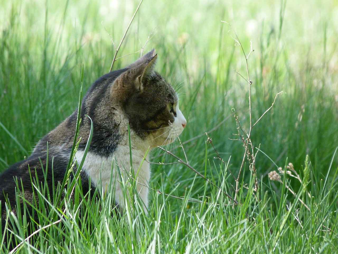 The Role of the Observer - Does Observation Determine Reality?